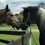 아파트 Czampiel 하벨베르크