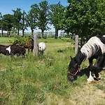 아파트 Czampiel 하벨베르크