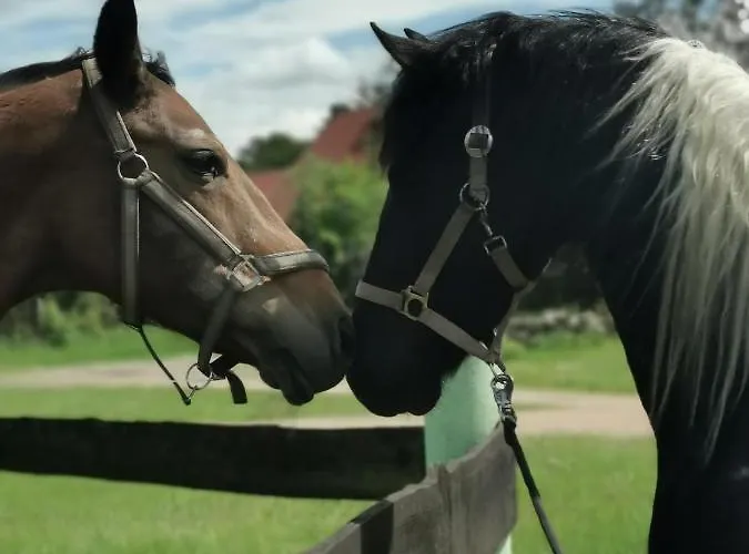 Apartmán Czampiel Havelberg