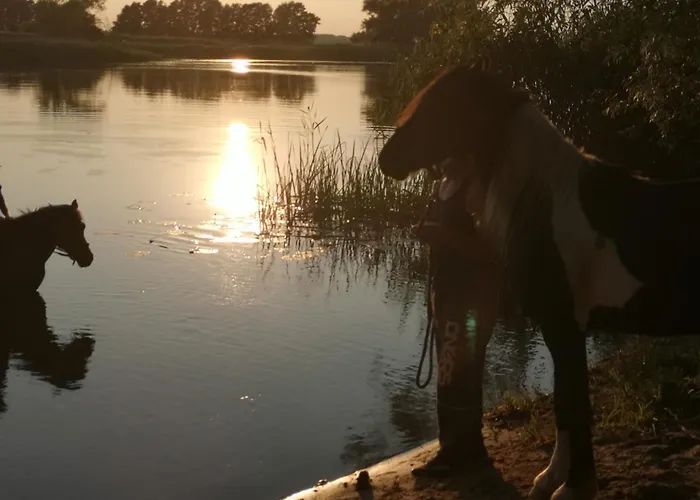 Appartamento Czampiel *