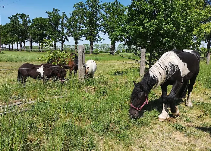 Appartamento Czampiel Havelberg